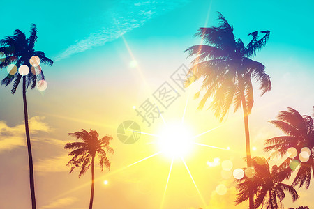 日落天空耀斑和散景自然中的热带棕榈椰子树 水 夏威夷背景图片