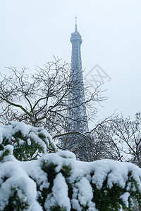 艾菲尔塔 巴黎冬天的雪下 树 季节 寒冷的 场景背景图片