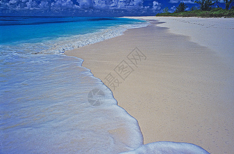 孤独的海滩在鸟岛 席台背景图片