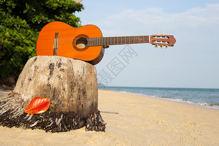 沙滩上音乐家在美丽的夏天 吉他在沙滩上 玩家 木头 节日 水背景