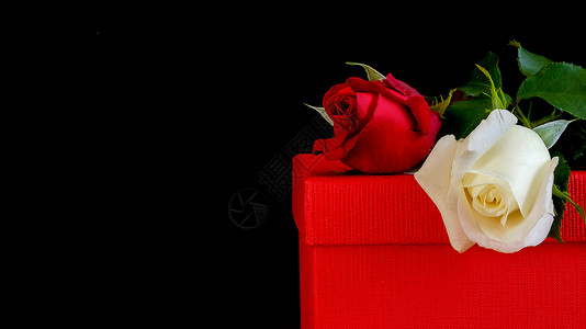 礼品盒上的玫瑰背景图片