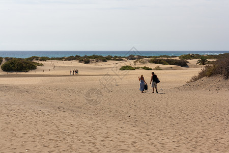 英格兰沙丘的沙滩和沙丘背景
