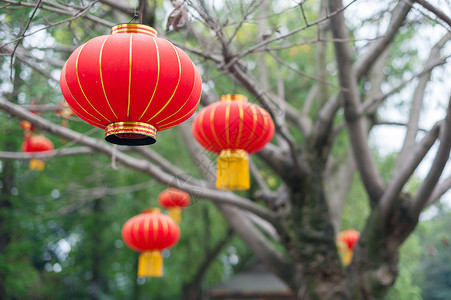 挂灯笼的树红中国灯笼挂在树上 庆祝活动 古老的 天空 传统的 文化 纸背景
