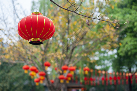 红中国灯笼挂在树上 古董 装饰品 纸 月球背景图片