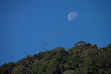 闪耀月亮在海上月亮在清蓝的天空中 自由的 圆形设计 星云 月食 星星 假期背景