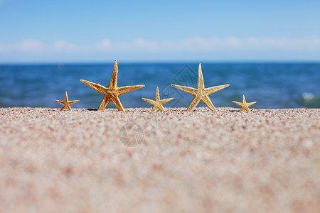 海星在海边 桑迪海滩有海浪 暑假概念 海边度假 放松 游泳图片