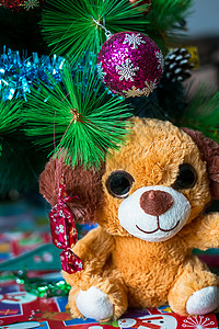 圣诞树下面的一只肥小狗背景图片