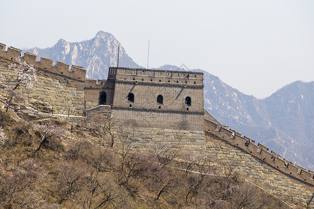 白草口长城中国北京 — CIRCA 2020 中国北京附近怀柔区慕田峪绿色森林景观中的中国长城 中国城墙秋景 远足 明代背景