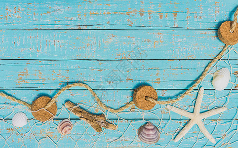 海星和海壳在绿绿木木底的渔网上捕捞 水平的 海螺壳高清图片