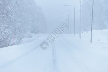 496号公路上铺满了大雪和恶劣天气 森林 圣诞节高清图片