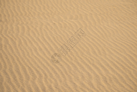 海滩沙沙沙 有线状图案 晴天 自由的 空的背景图片