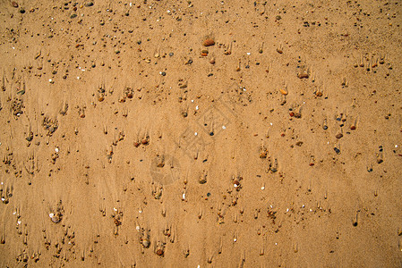 波罗的海海滩上的披头士 自然 假期 矿物 石头背景图片