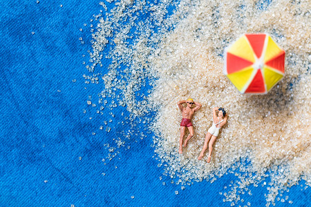 在沙滩上晒太阳 夏季概念 迷你动物 日光浴 游客图片