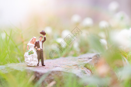 迷你人 花园中的一对夫妇 蜜月 婚姻 假期 夫妻图片