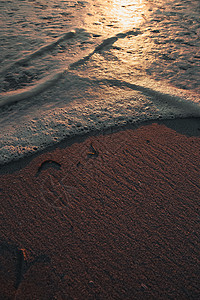 在深棕色沙滩上拖拉渡潮水图片