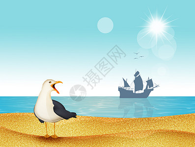 海滩上的海鸥 插图 水 有趣的 假期 岛 旅行背景图片
