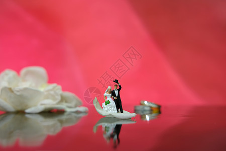 微型摄影 — 花园花卉户外婚礼概念 新娘和新郎走在亮闪闪的地板上 铺着白玫瑰花瓣 盒子 仪式背景图片