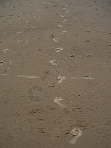 黄海海岸的风景 热带 走 脚印 旅行 自然背景图片