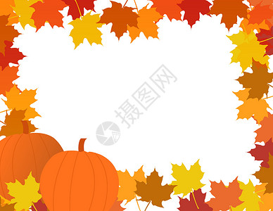 感恩节邀请或问候的设置说明性组成情况 叶子背景图片