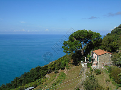 俯视海面的深楼梯 公园 五渔村 山 海岸 利古里亚 海洋背景图片