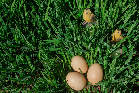 复活节鸡蛋为孩子们打猎 有趣多彩的春季照片为快乐的东方人背景所拍摄 的背景 背景图片