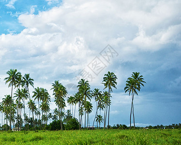 斐济的美丽照片 旅游 旅行图 斐济航空公司 旅游博主 爱旅行 斐济岛背景图片