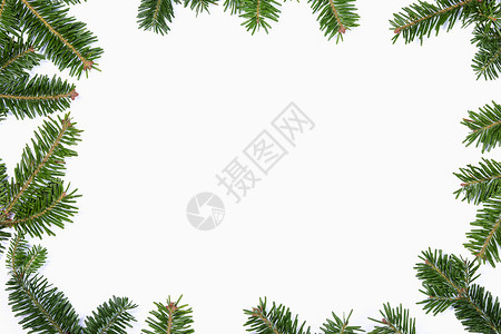 在惠特的冷杉树分支框架 边界 枝条 白色的 云杉 明信片背景图片
