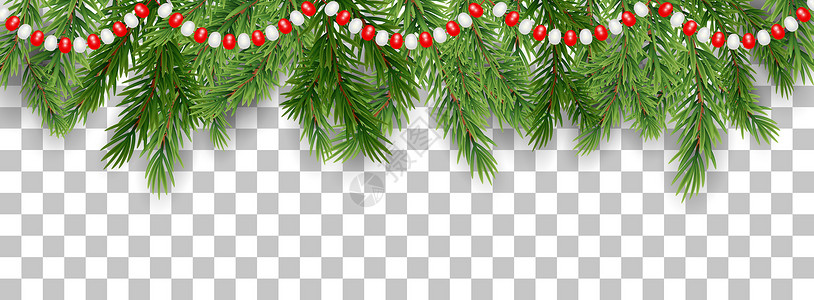 圣诞快乐和新年快乐 树枝和园林珠的边界以透明背景显示 矢量插图 快乐的 光滑背景图片