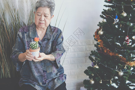 亚洲老年妇女老年老年女性在圣诞树附近拿着花盆图片