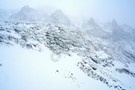 冬季的白卡尔山雪 下雪的森林覆盖了山岳 树高清图片