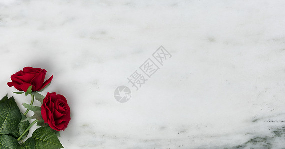 情人节快乐 在自然大理石上盛着可爱的红玫瑰花背景图片