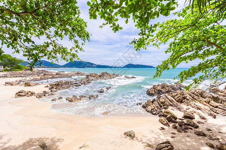 暑假和假期背景概念 美丽的叶子在热带沙滩上树架状的树 娱乐 芭东背景图片