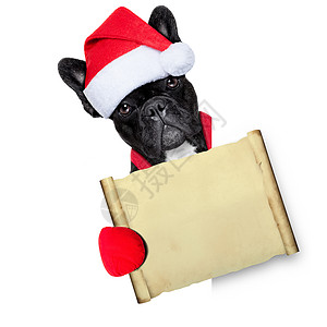 圣诞狗 海报 宠物 冬天 诺埃尔 戏服 有趣的 庆典 快乐的背景图片