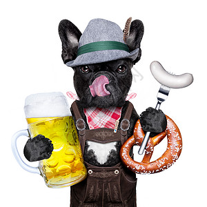 福佳白啤酒十月小狗高清图片