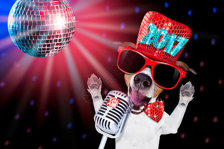 快乐的新年狗圈 夜店 动物 派对 舞蹈 假期 歌手 除夕图片