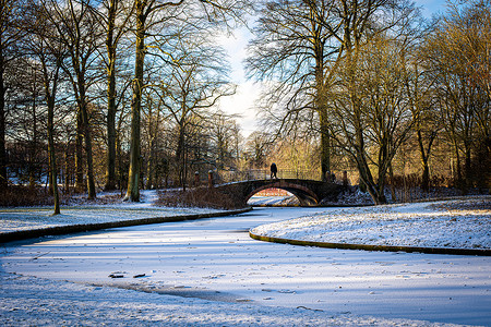 丹麦冬季哥本哈根花园的冬季 天 蓝色的 公园 假期 森林 漫步背景