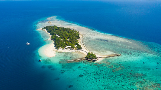 菲律宾小利吉德岛 棉兰老 多于 假期 树 跳岛游高清图片