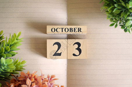 10月23日 八月 十月 测验 时间 商业 花 假期图片