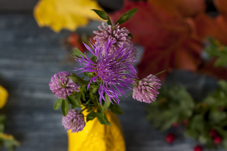 深色背景中黄色花瓶中的一束紫色花朵 柔和的 问候语背景图片