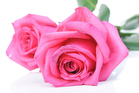 静生摄影 花束 开花 周年纪念日 庆典 植物群 宏观 玫瑰背景图片