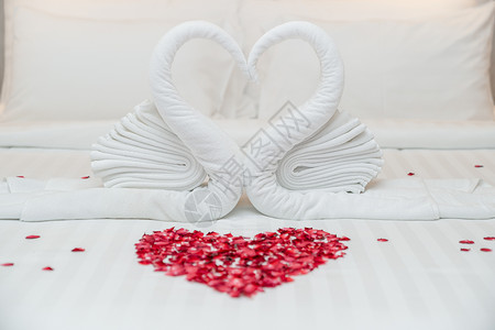床边的天鹅毛巾和玫瑰花瓣 心脏形状 蜜月或结婚纪念日 浪漫的感觉 已婚 卧室背景