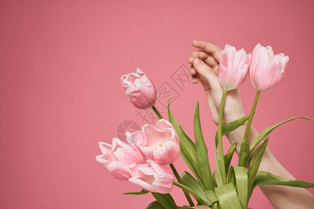天猫美甲节3月8日粉红色背景的礼物节花束花 芽 恭喜背景
