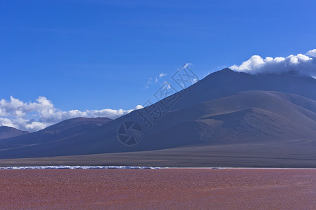 红湖 玻利维亚 南美洲 火烈鸟 荒野 地标 旅游 自然之美图片