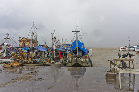 巴西亚马逊流域 巴西 南美洲 旅游 亚马逊盆地 旅游景点图片