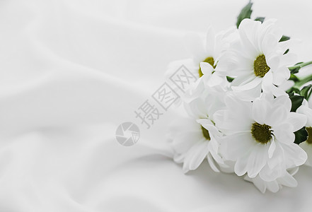 花朵式新娘头饰以丝质织物为新娘式平板背景 婚礼邀请和节日品牌 平地设计等丝绸纤维上的白菊花 浪漫的 躺着背景
