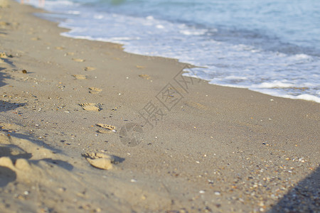 沙滩上沙沙上的脚印 复制空间图片