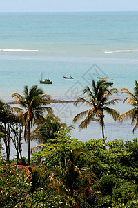 南部Bahia荒无人烟的海滩 美丽的 海洋 巴西背景图片