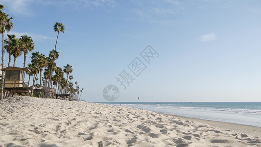 白沙滩上的棕榈树 美国加利福尼亚的海洋海岸 救生塔 望塔小屋 极简主义背景图片