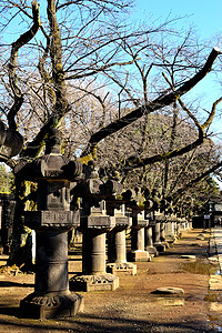 上野公园经典日本石器灯笼的景象背景图片