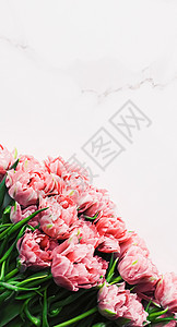 大理石背景的春花作为节假日礼物 贺卡和花花板 自然 春天背景图片